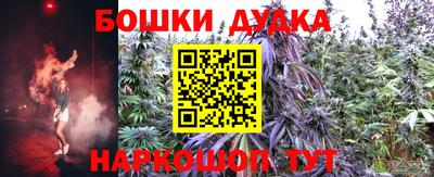 крисы Владикавказ