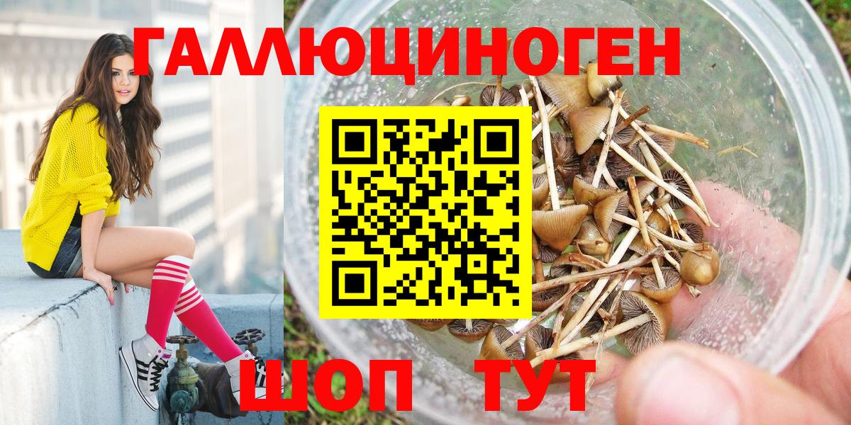 Галлюциногенные грибы Cubensis Каменск-Уральский