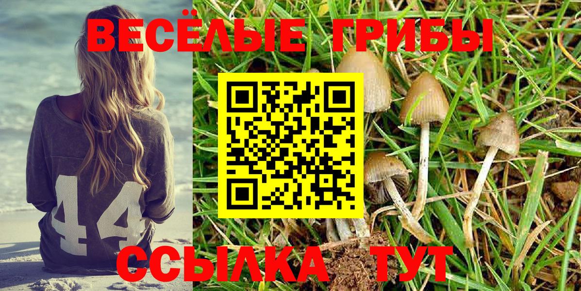 Каменск-Уральский  Псилоцибиновые грибы GOLDEN TEACHER  Галлюциногенные грибы Psilocybine cubensis  Вход с VPN 